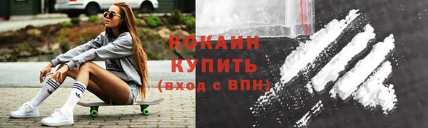 ешки Арсеньев