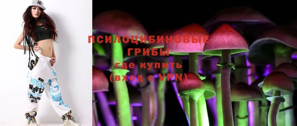 прущие крисы Аркадак