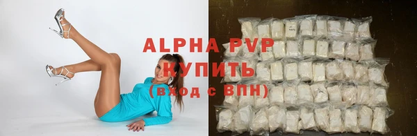 стафф Ростов