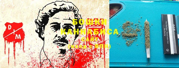 ешки Арсеньев