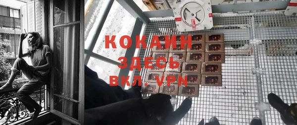 прущие крисы Аркадак