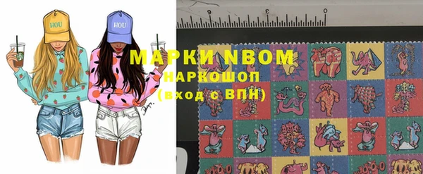 ешки Арсеньев