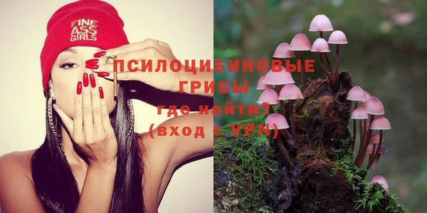 мяу мяу мука Армянск